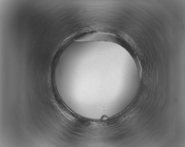 X0000071920442200608041439