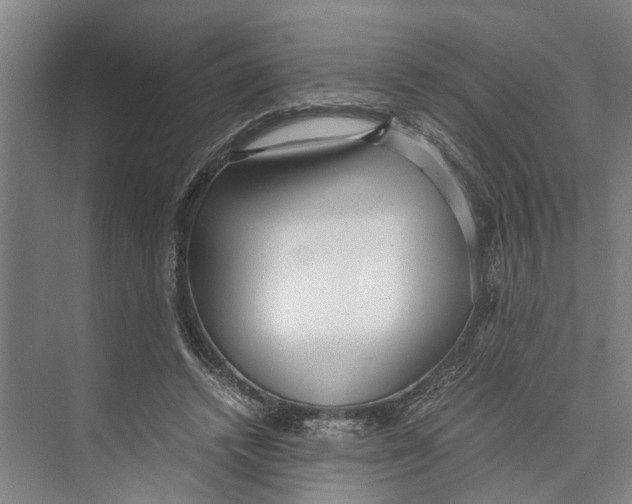 X0000071920448200608041439