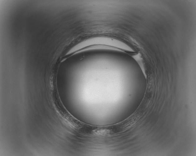 X0000071920452200608041439