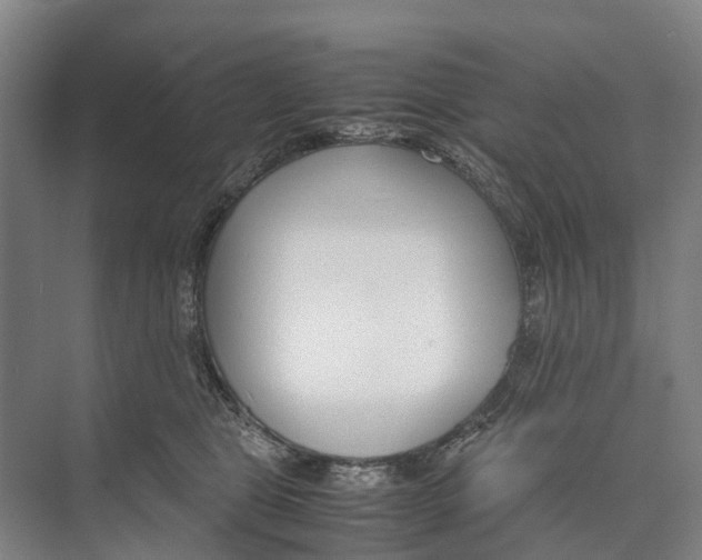 X0000071920469200608041439