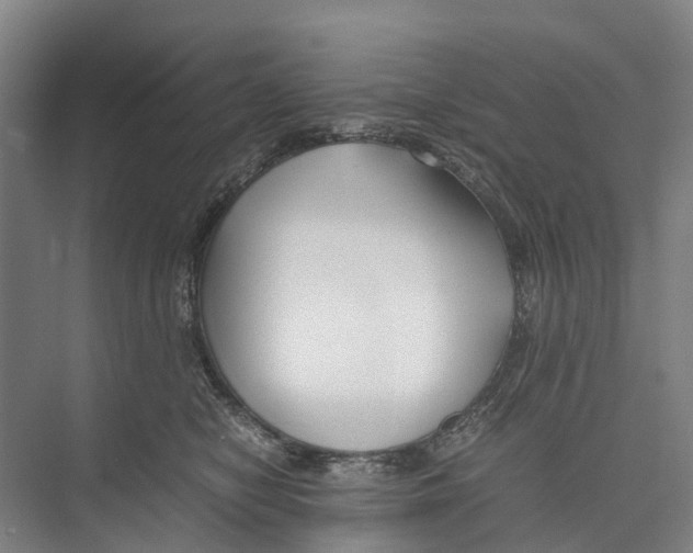 X0000071920470200608041439