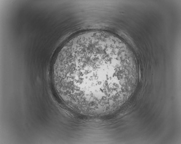 X0000071920483200608041439
