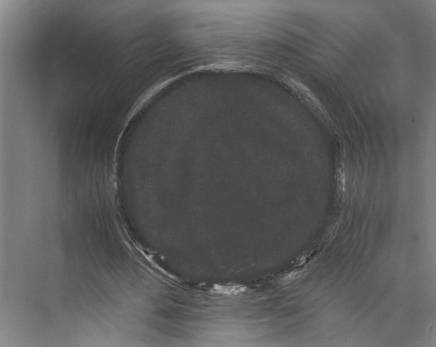 X0000071920484200608041439
