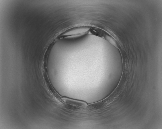 X0000071920485200608041439