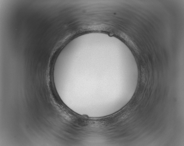 X0000071920486200608041439