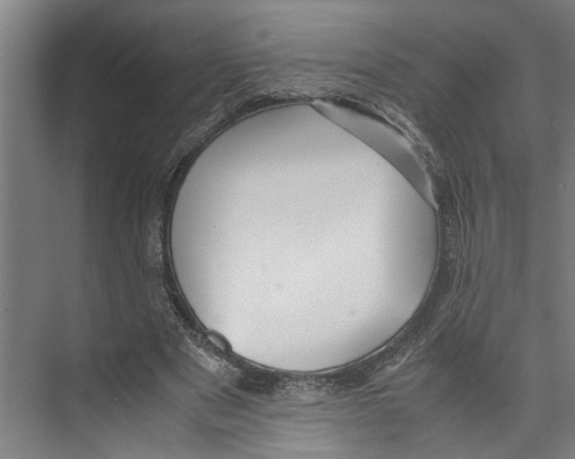 X0000071920489200608041439