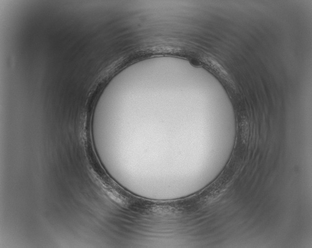 X0000071920490200608041439