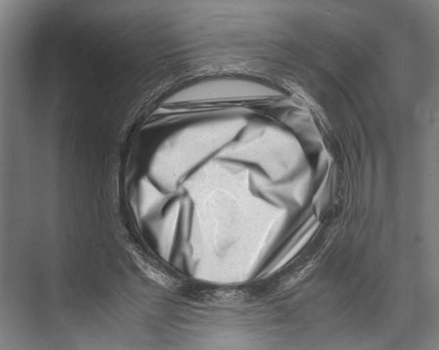 X0000071920493200608041439