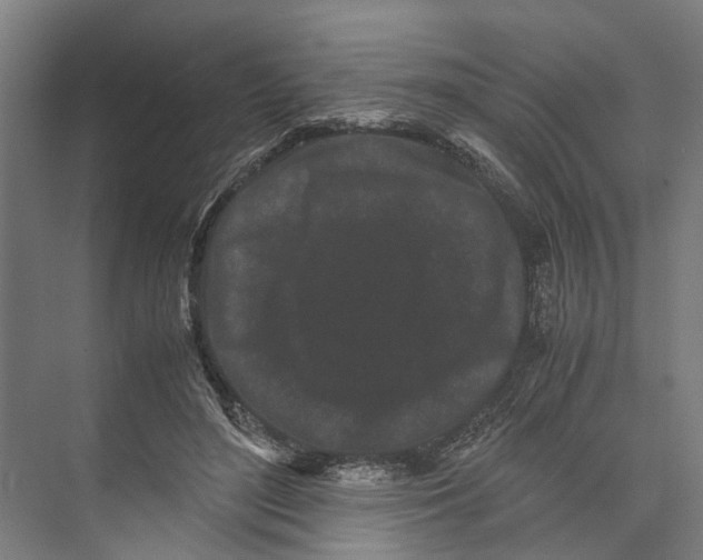 X0000071920500200608041438