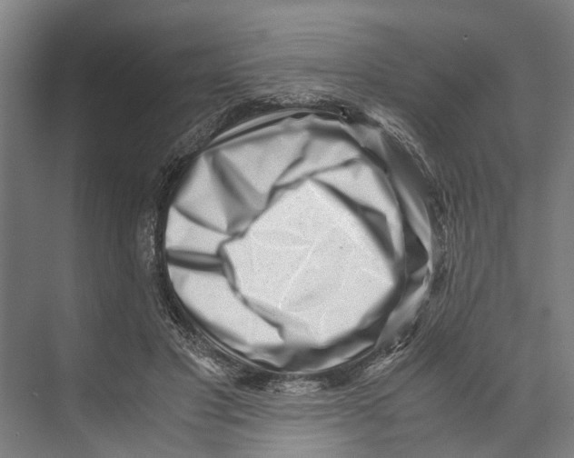 X0000071920501200608041438