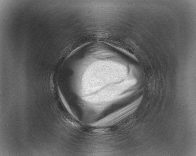 X0000071920516200608041438