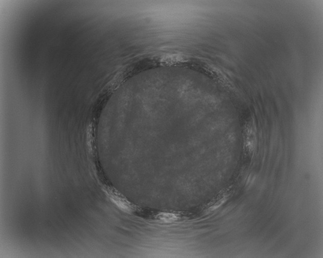 X0000071920519200608041438