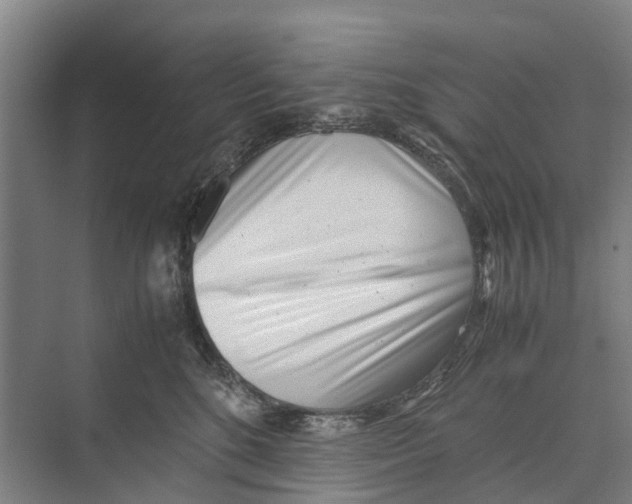 X0000071920520200608041438