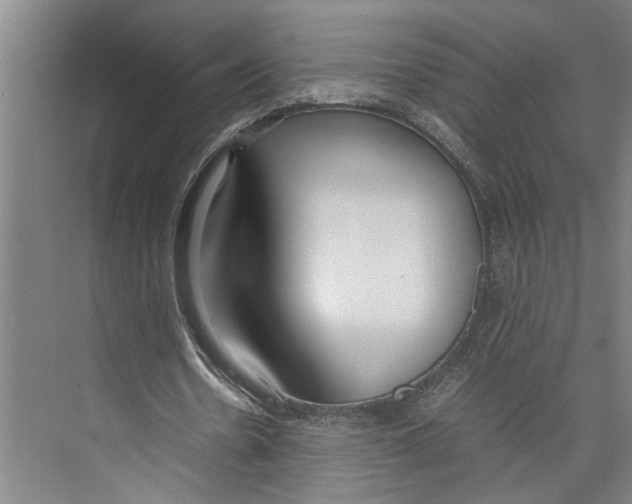 X0000071920530200608041437