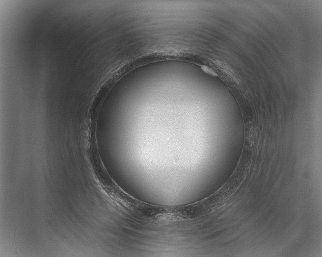 X0000071920544200608041437