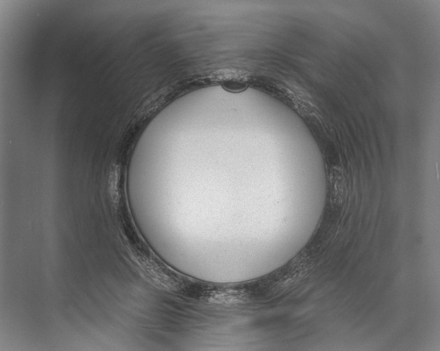 X0000071920550200608041437