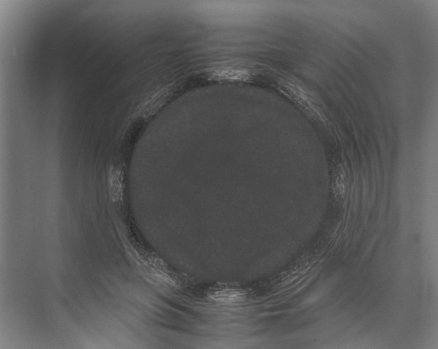 X0000071920551200608041437