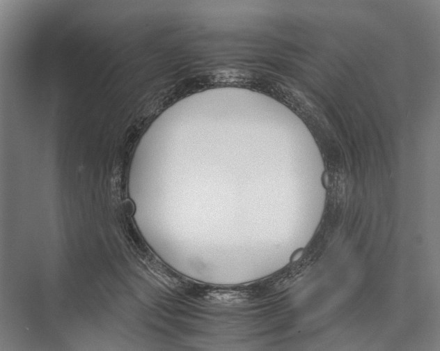 X0000071920557200608041438