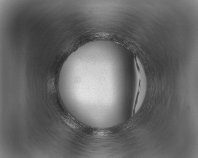 X0000071920564200608041438