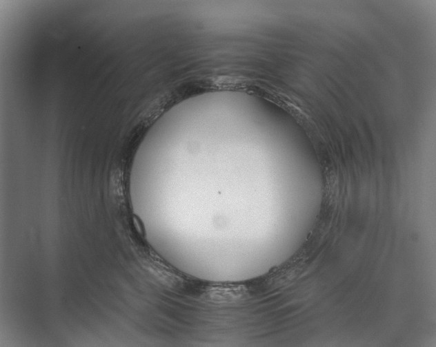X0000071920571200608041438
