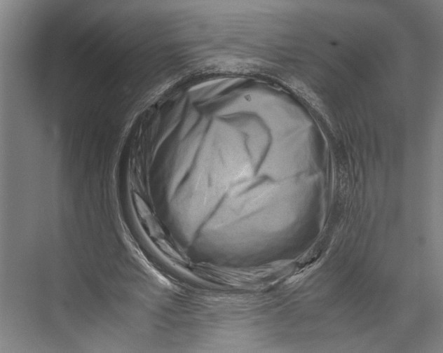 X0000071920581200608041437
