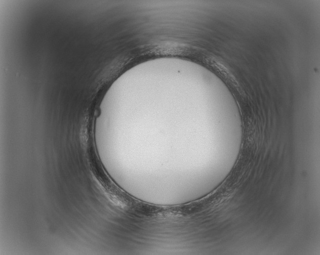 X0000071920586200608041437