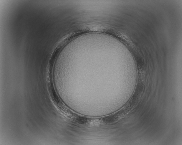 X0000071920587200608041437