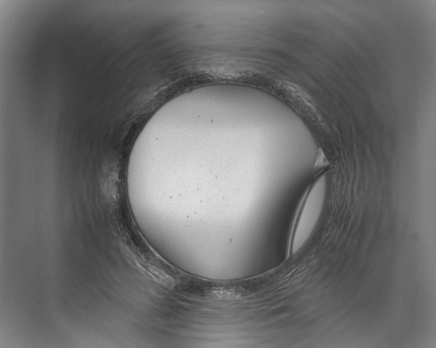 X0000071920596200608041437