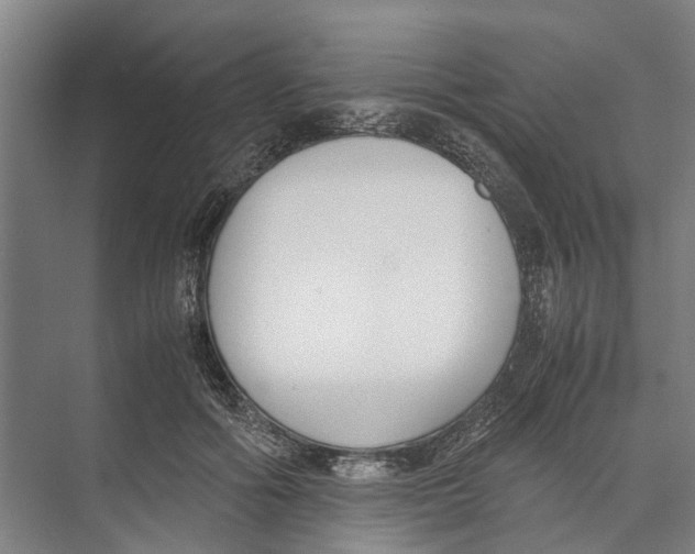 X0000071920602200608041437