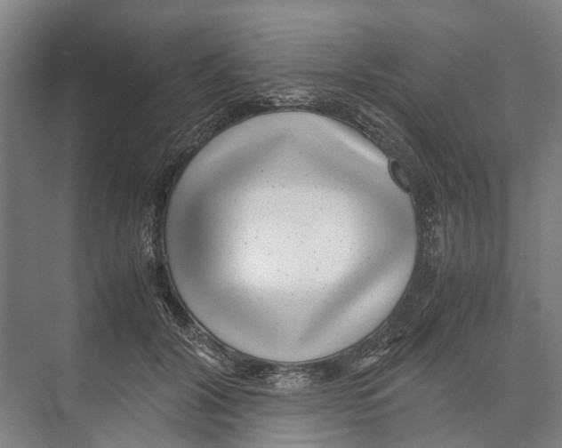 X0000071920604200608041437