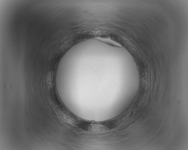 X0000071920605200608041437