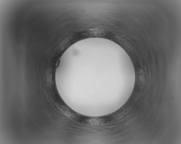 X0000071920615200608041436