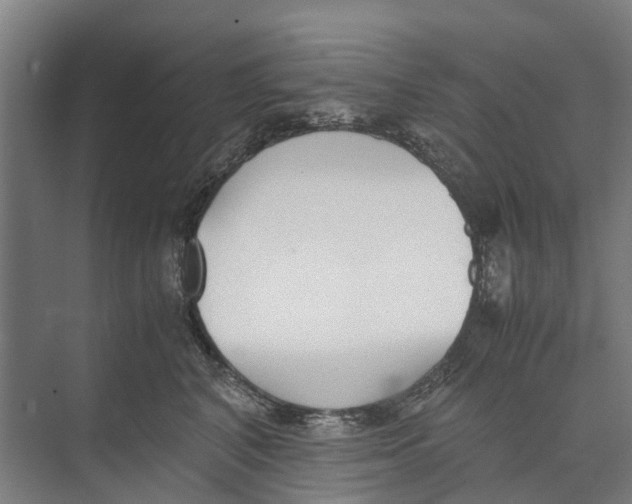 X0000071920616200608041436