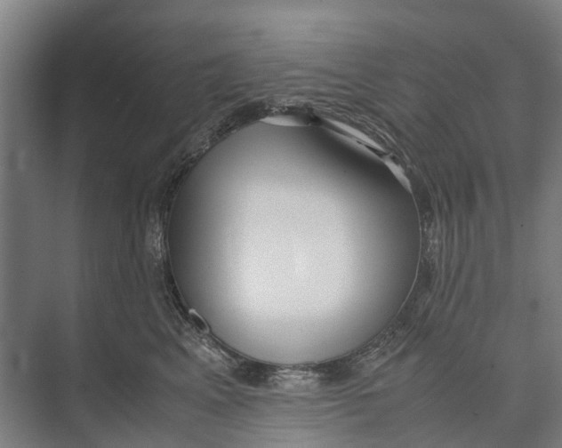 X0000071920617200608041436