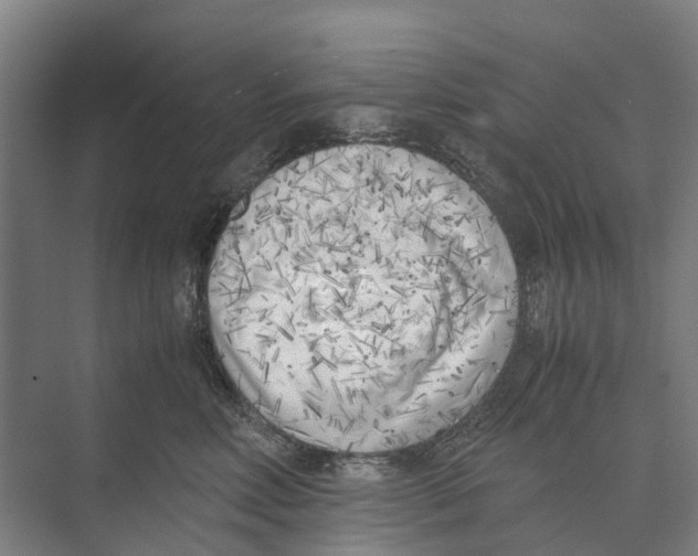 X0000071920618200608041436