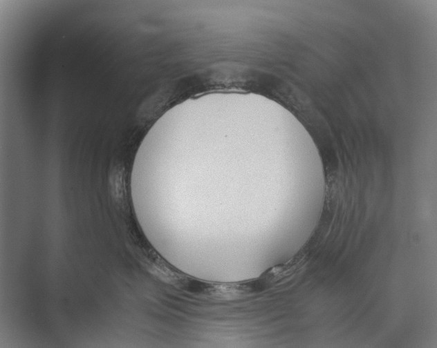 X0000071920623200608041436