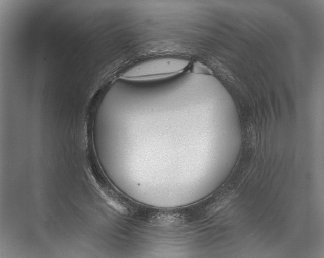 X0000071920638200608041436