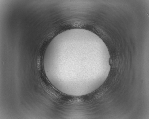 X0000071920646200608041436