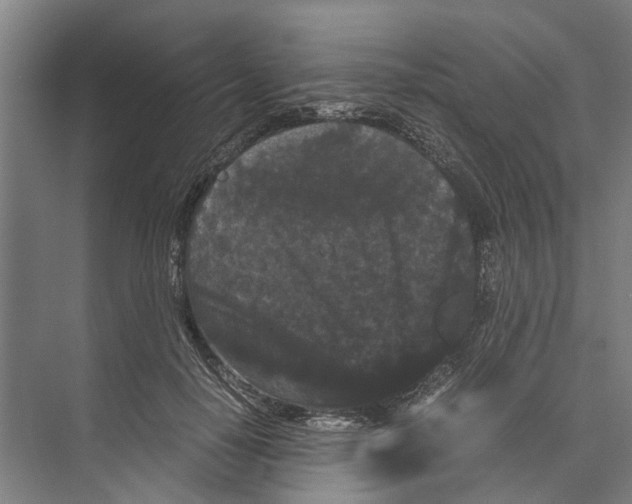 X0000071920650200608041436
