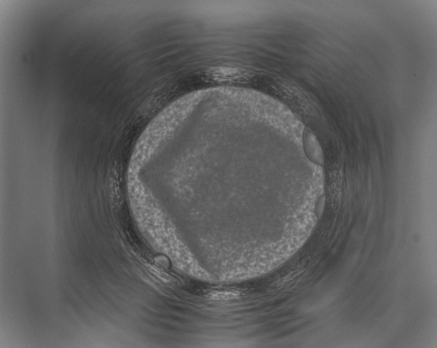 X0000071920653200608041436