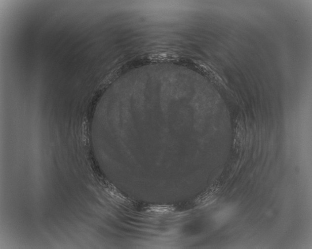 X0000071920659200608041436