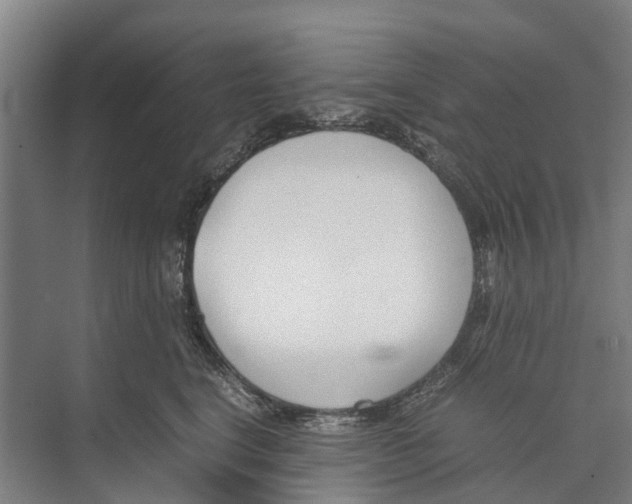 X0000071920664200608041436