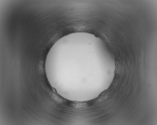 X0000071920670200608041436