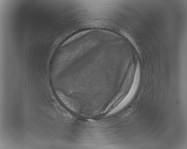 X0000071920673200608041435