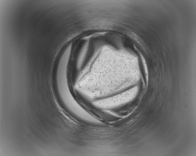 X0000071920677200608041435