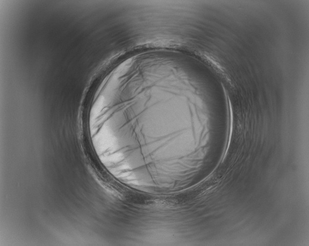 X0000071920678200608041435