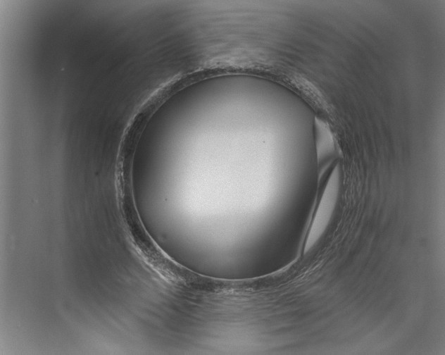 X0000071920680200608041435