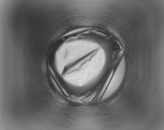 X0000071920681200608041435