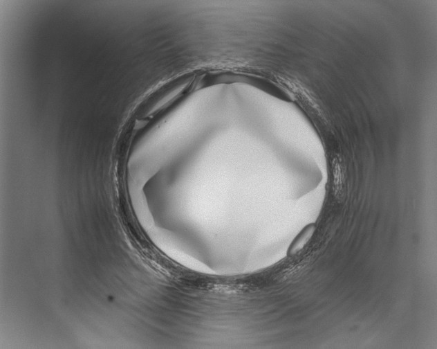 X0000071920684200608041435