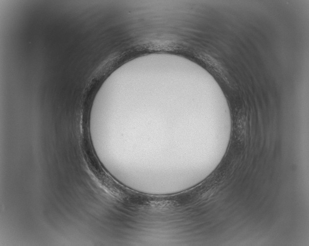 X0000071920686200608041435